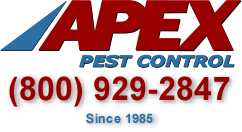 Apex Pest Control 800-929-2847, killing bugs since 1985