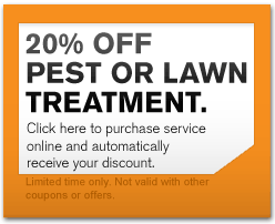 20% Off