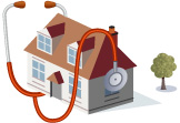 Florida termite control